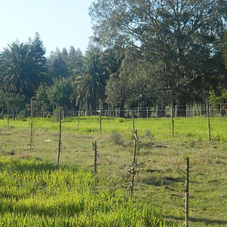 Casa De Campo Lo De Fatsia Colonia del Sacramento Pokoj fotografie